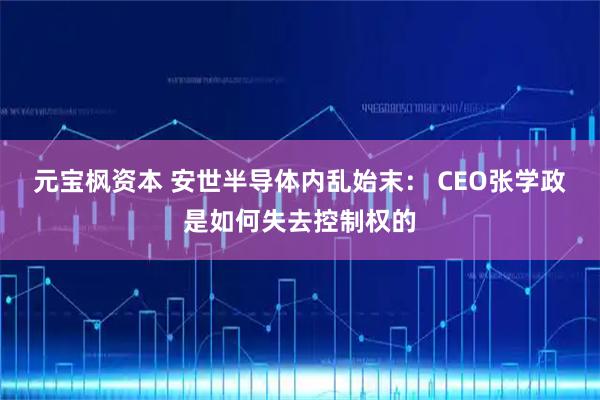 元宝枫资本 安世半导体内乱始末: CEO张学政是如何失去控制权的
