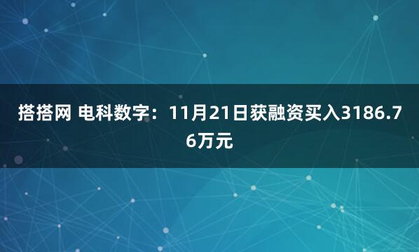 搭搭网 电科数字:11月21日获融资买入3186.76万元