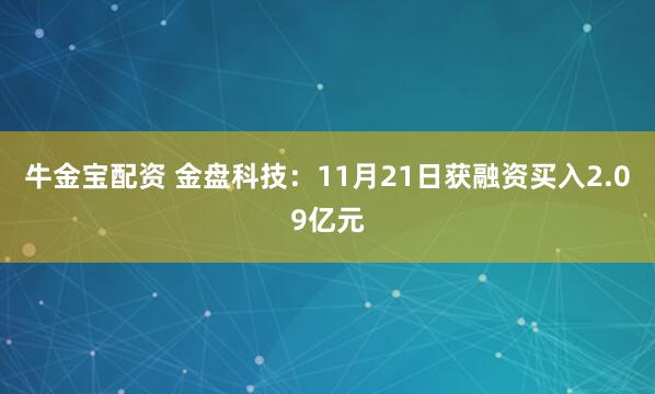 牛金宝配资 金盘科技:11月21日获融资买入2.09亿元