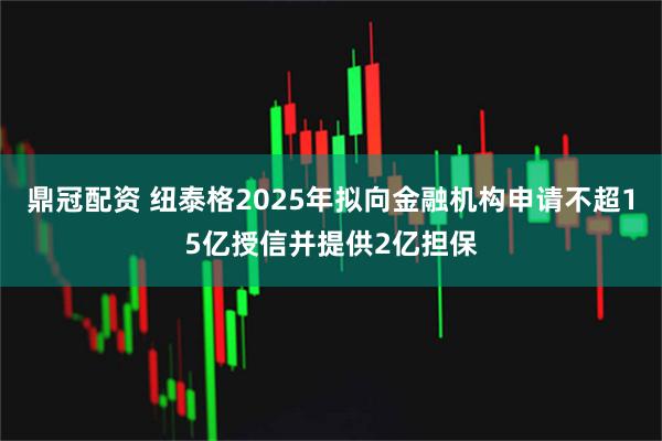 鼎冠配资 纽泰格2025年拟向金融机构申请不超15亿授信并提供2亿担保