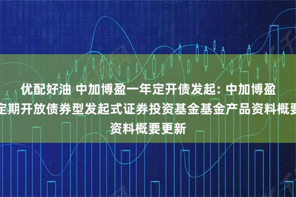 优配好油 中加博盈一年定开债发起: 中加博盈一年定期开放债券型发起式证券投资基金基金产品资料概要更新