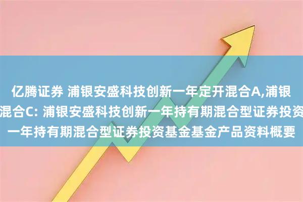 亿腾证券 浦银安盛科技创新一年定开混合A,浦银安盛科技创新一年定开混合C: 浦银安盛科技创新一年持有期混合型证券投资基金基金产品资料概要