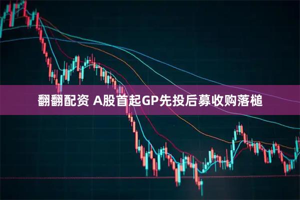 翻翻配资 A股首起GP先投后募收购落槌
